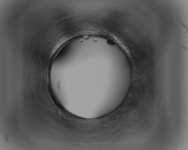 X0000091530011200709071051