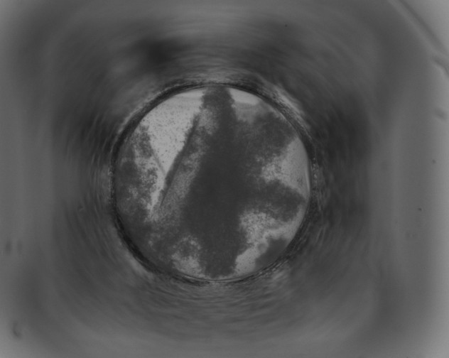 X0000091530012200709071051