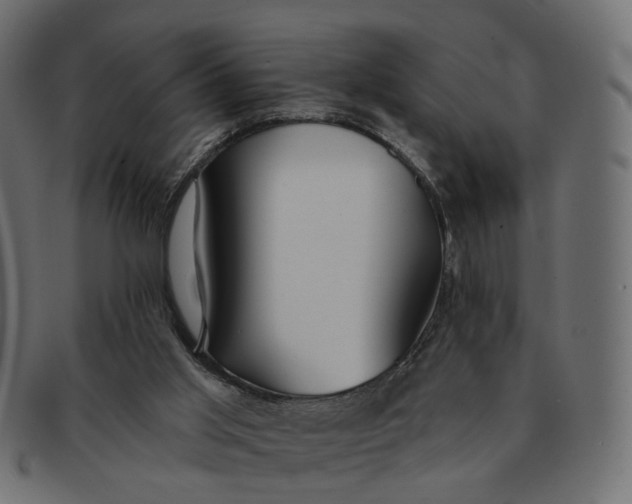 X0000091530013200709071051