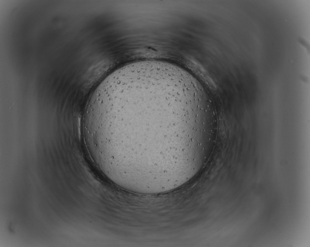 X0000091530014200709071051