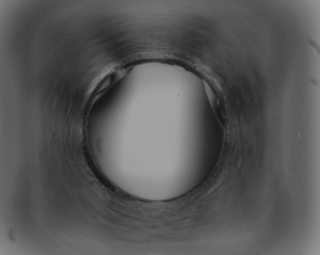 X0000091530015200709071051