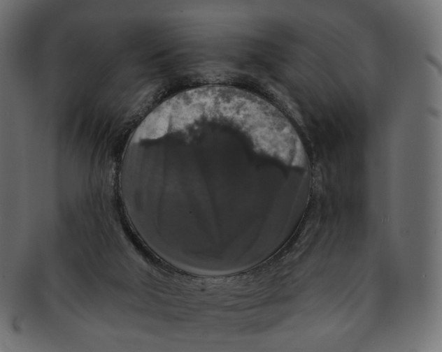 X0000091530018200709071051