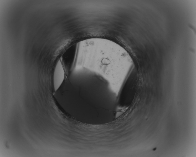 X0000091530019200709071051