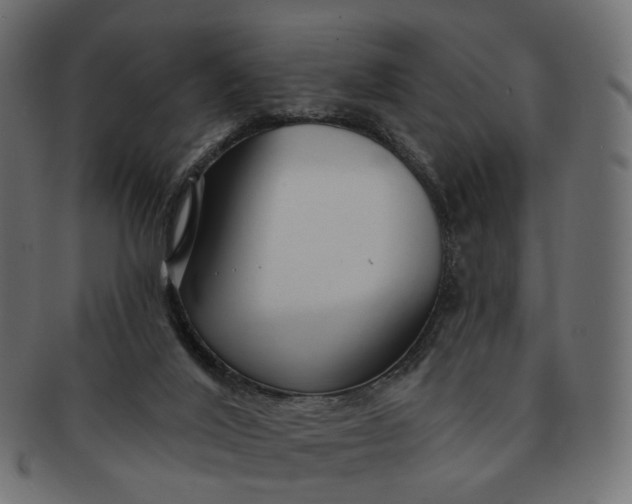 X0000091530020200709071051