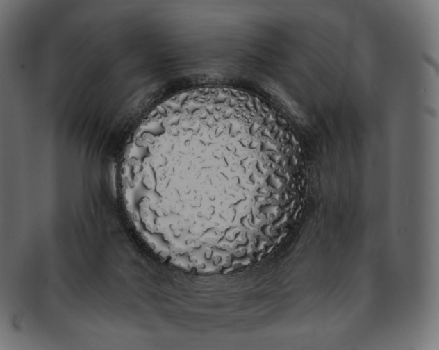 X0000091530022200709071051