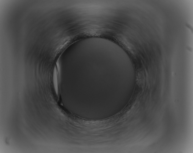 X0000091530023200709071051