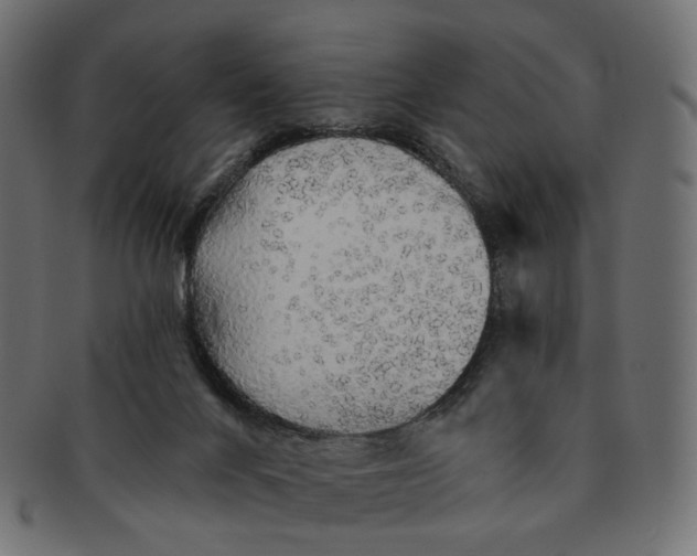 X0000091530024200709071051