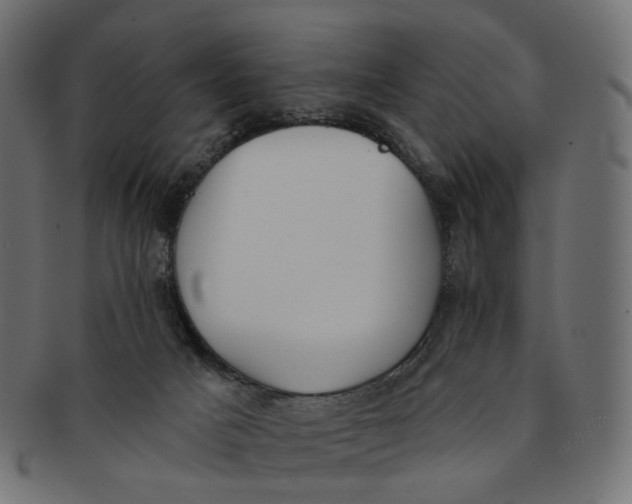 X0000091530025200709071051