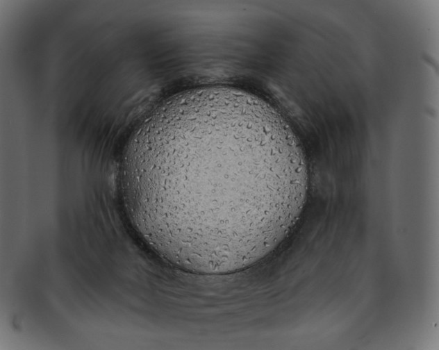 X0000091530026200709071051