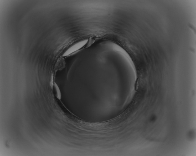 X0000091530027200709071051
