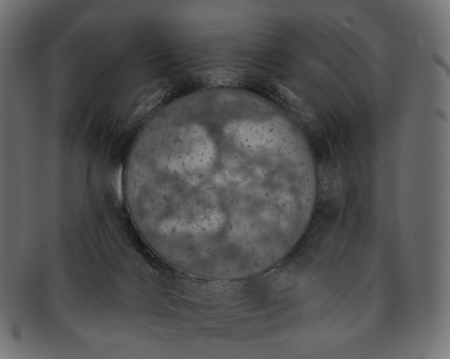 X0000091530028200709071051