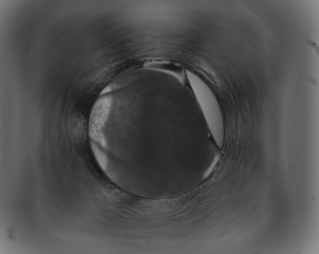 X0000091530029200709071051