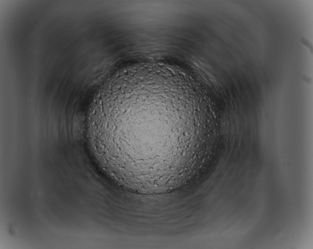 X0000091530030200709071051