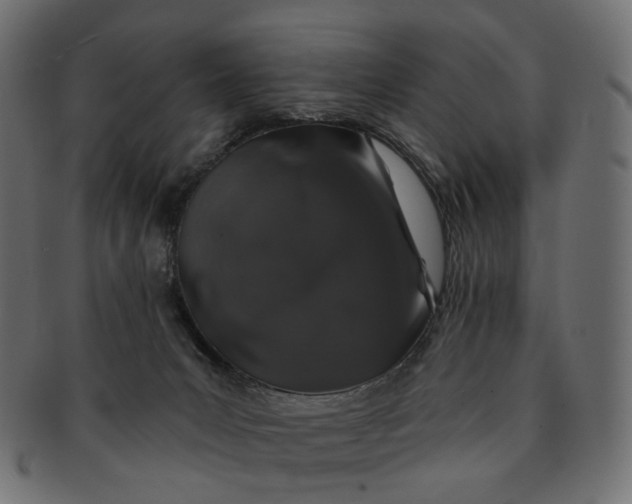 X0000091530031200709071051