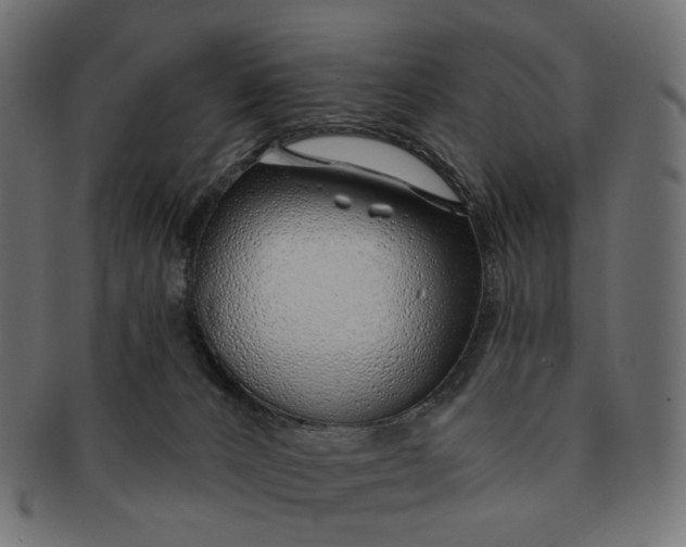 X0000091530032200709071051