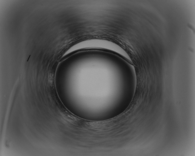 X0000091530033200709071051