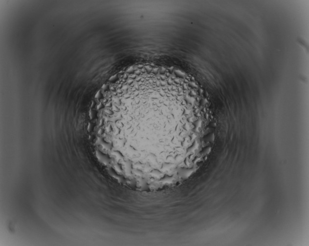 X0000091530034200709071051