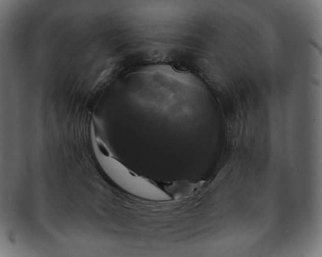 X0000091530035200709071051