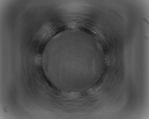 X0000091530036200709071051