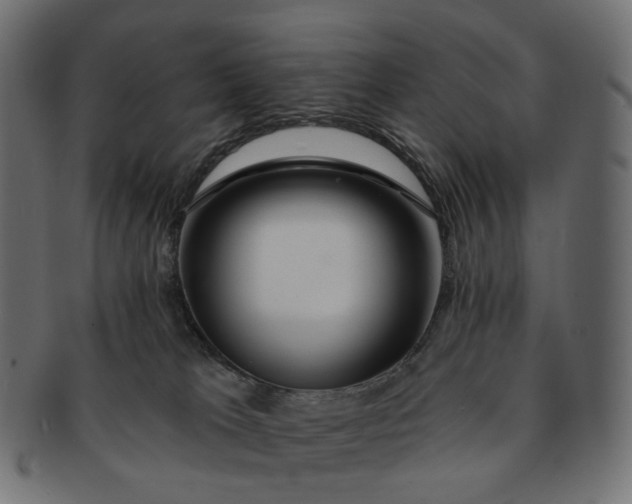 X0000091530037200709071051