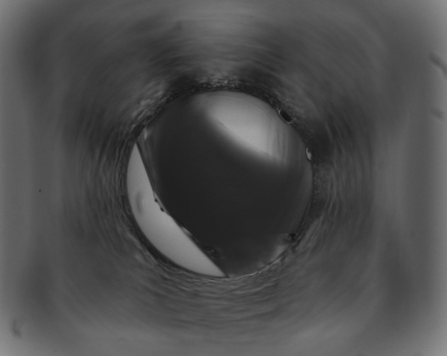 X0000091530039200709071051