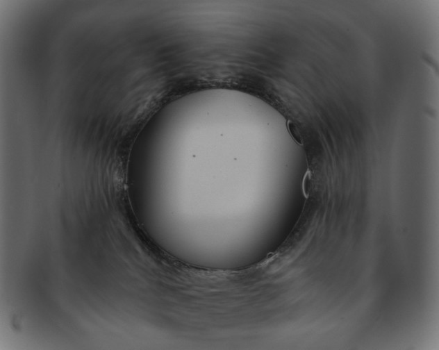 X0000091530040200709071051
