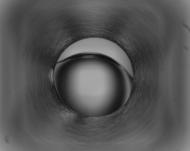 X0000091530041200709071051