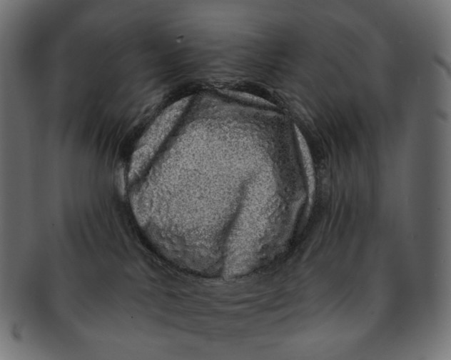 X0000091530042200709071051