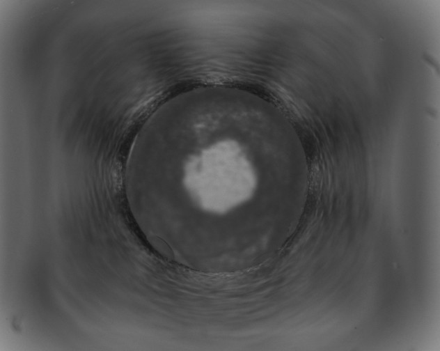 X0000091530043200709071051