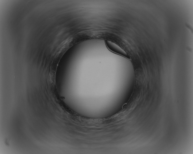 X0000091530044200709071051