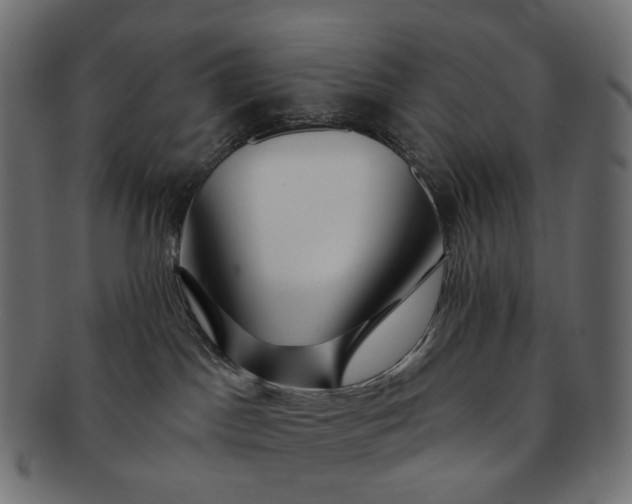 X0000091530045200709071051