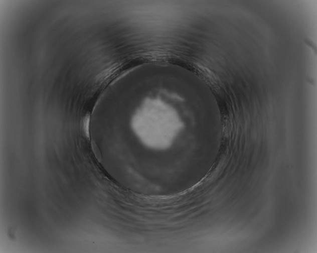 X0000091530047200709071051
