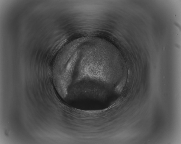 X0000091530048200709071051