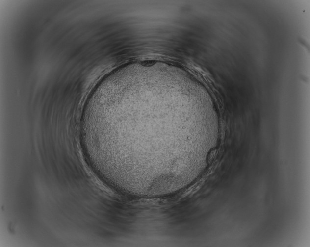 X0000091530049200709071050
