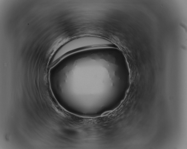 X0000091530050200709071050