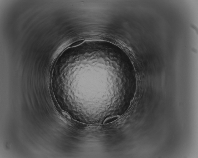 X0000091530051200709071050