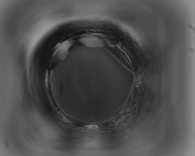 X0000091530052200709071050