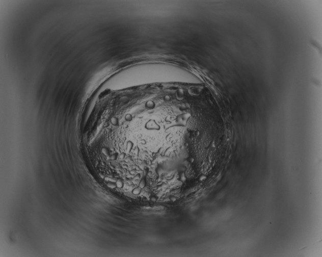 X0000091530053200709071050