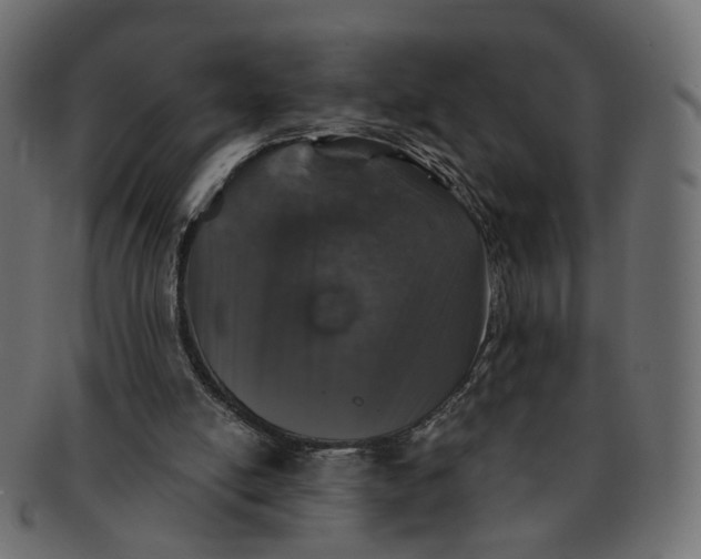 X0000091530054200709071050