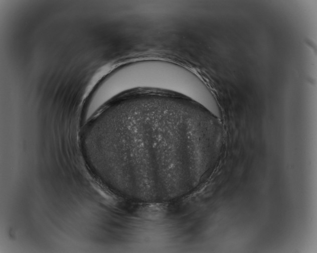X0000091530056200709071050