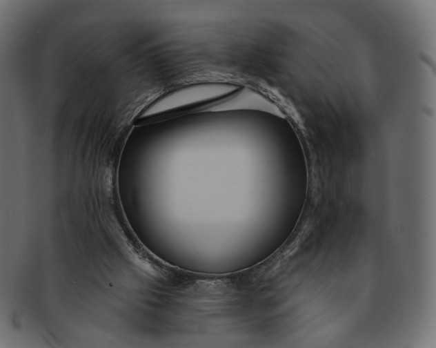 X0000091530057200709071050