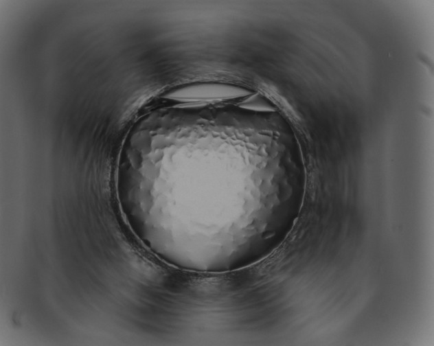 X0000091530058200709071050