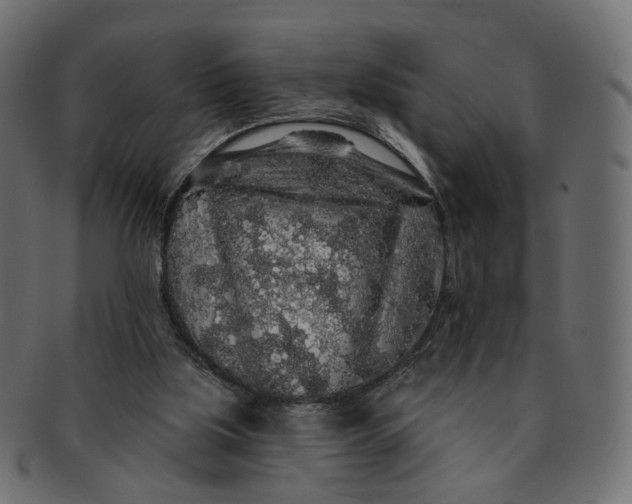 X0000091530059200709071050