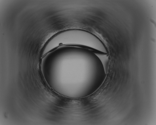 X0000091530060200709071050