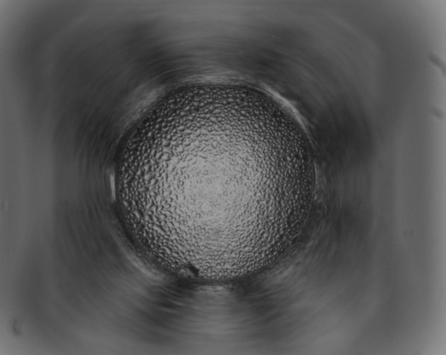 X0000091530061200709071050