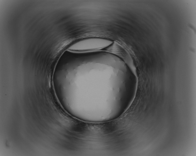 X0000091530062200709071050