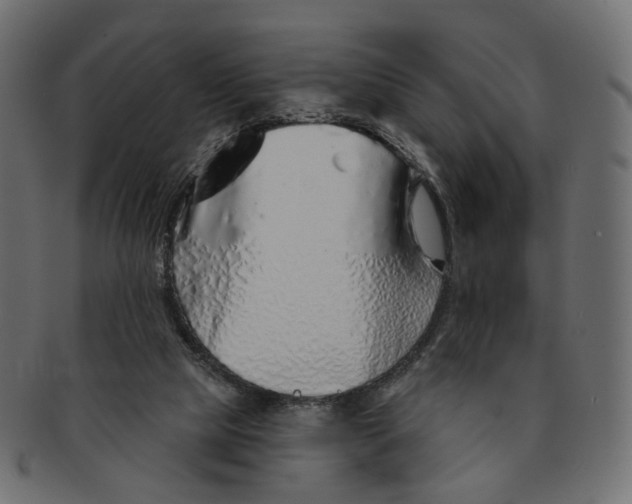 X0000091530065200709071050