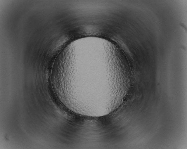 X0000091530066200709071050