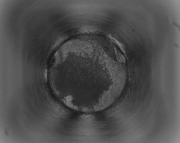 X0000091530067200709071050