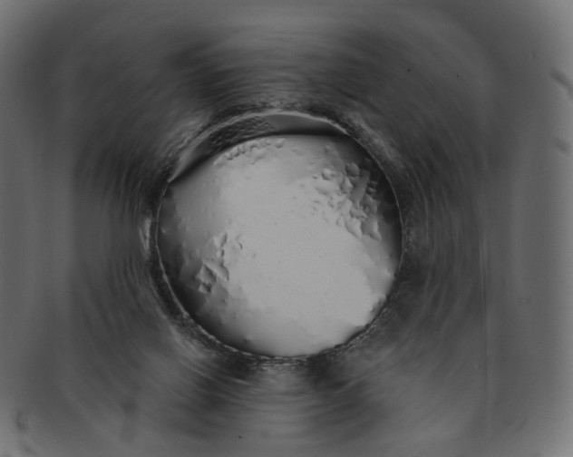 X0000091530070200709071050